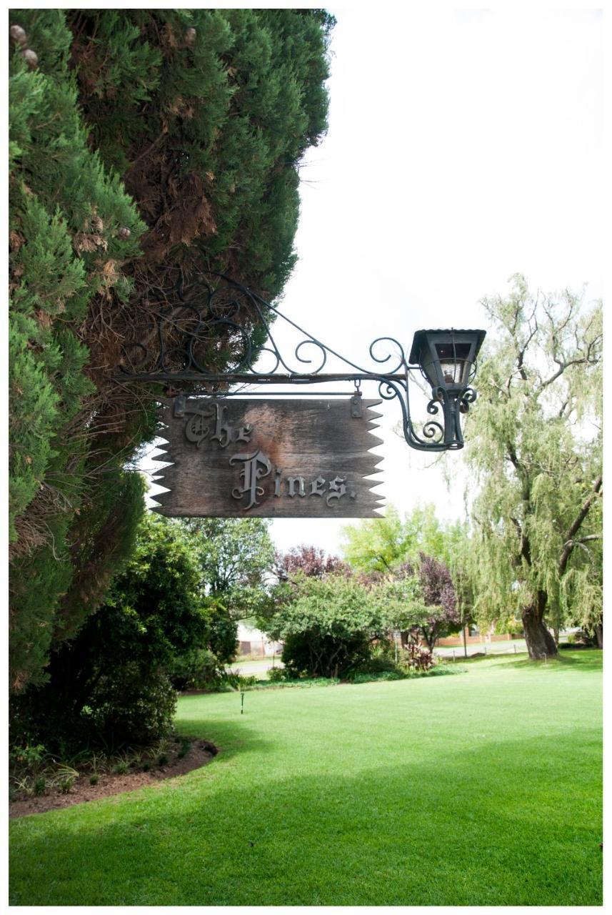 Shady Pines Guest House Harrismith Bagian luar foto